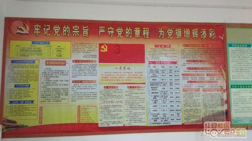 蜂王救援